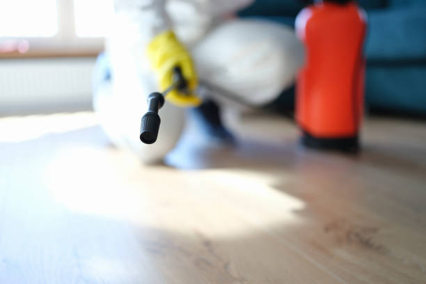 Best Mold Removal for HVAC Installations  in Upper Exeter, PA